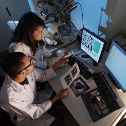 Research & Development Advisory